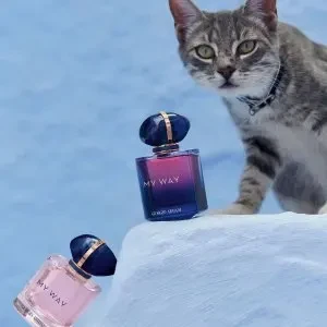 Armani Select Fragrance Shopping Event