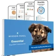 Wisdom Panel Essential Dog DNA Test