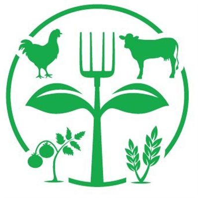 store-logo