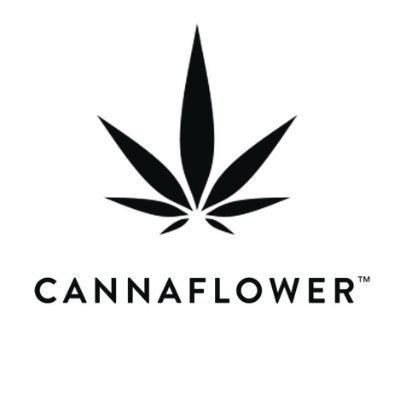 store-logo
