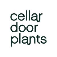 store-logo