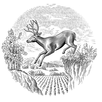 store-logo