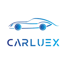 store-logo