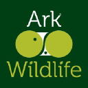 store-logo