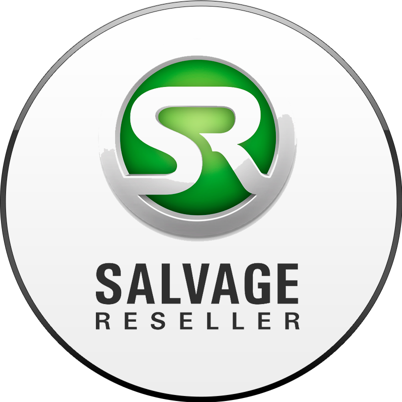 store-logo