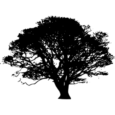 store-logo