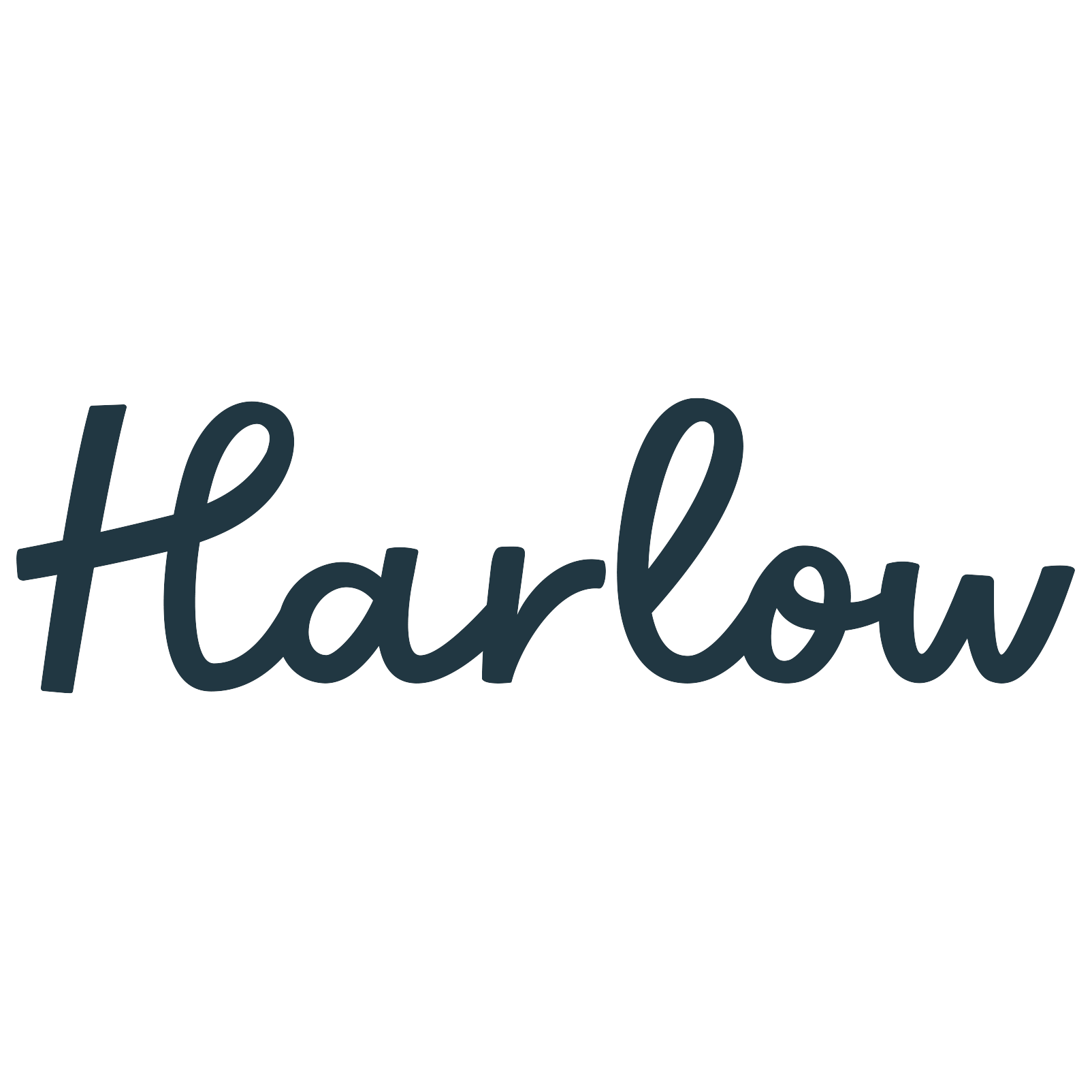 store-logo